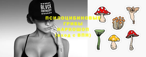 не бодяженный Нязепетровск