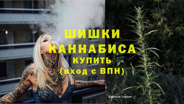 spice Алексеевка