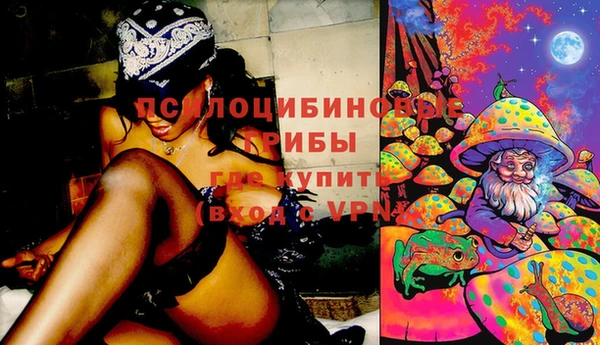 spice Алексеевка